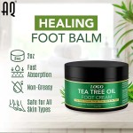 Foot Cream Manufacturer - Wholesale Private Label Aloe Vera Vitamin E Tea Tree Oil Moisturizing 57g