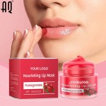Lip Cream Mask Manufacturer - Private Label Organic Red Pomegranate 10g Moisturizing Nourishing Crystal Oil