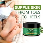 Foot Cream Manufacturer - Wholesale Private Label Aloe Vera Vitamin E Tea Tree Oil Moisturizing 57g