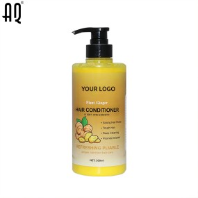 Hair Conditioner Manufacturer - Manufacturer Deep Cleansing Natural Japan Ginger Plant Nourishing Anti Dandruff
