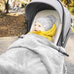 Stroller Blanket Clip - 2 Pack Alligator Clip