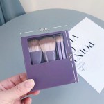 Eye Shadow Brush - Powder Makeup Travel Set