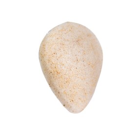 Walnut Sponge - Exfoliating Konjac Body