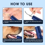 Dental Scaler Manufacturer - Smart Vibration Models for Dogs Tooth Stain Tartar Remover