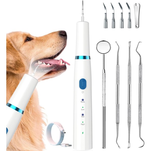 Ultrasonic Teeth Cleaner Manufacturer - Professional for Pets Tartar Remover