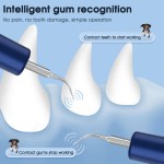Dental Scaler Manufacturer - Smart Vibration Models for Dogs Tooth Stain Tartar Remover