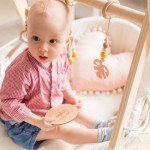 Baby Sensory Toy Manufacturer - Customized Four-Piece Fitness Natural Beech Wood Turtle Leaf Soft Toy