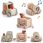 Small Train Puzzle Toy Manufacturer - New Upgraded Multifunctional Drag Drop Plastic Montessori for Children