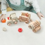 Small Train Puzzle Toy Manufacturer - New Upgraded Multifunctional Drag Drop Plastic Montessori for Children