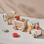 Small Train Puzzle Toy Manufacturer - New Upgraded Multifunctional Drag Drop Plastic Montessori for Children