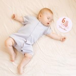 Montessori Cognitive Cards Manufacturer - Best-Selling Bear Double-Sided Mileage Film Learning Toy