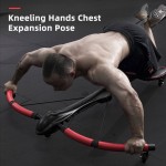 Ab Roller Wheels Manufacturer - Abdominal ABS Dragonfly 5 Wheels Trainer Whole Body Muscle Exerciser