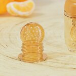 Fruit Chew Toy - Full Silicone Feeder