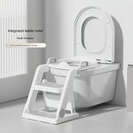 Toilet Trainer - Step Stool Potty