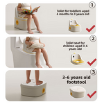 Toilet Aid - Three-in-One Footstool