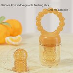 Fruit Chew Toy - Full Silicone Feeder