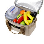 PEVA Cooler Bag Manufacturer - Custom Logo Picnic Lunch Bag