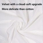 Disposable Cotton Panties Supplier - OEM High Rise Travel White 4pk