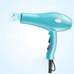 Hair Dryer - High Speed 2000W Salon Set