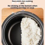 Closet Organizer - Plastic Drawers Cabinet