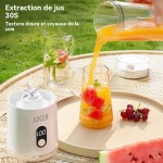 Chocolate Fondue - Mini Electric Fountain