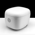 Food Container - Biodegradable 600ml