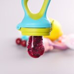 Fruit Feeder - BPA Free Silicone Pacifier
