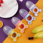 Fruit Feeder - BPA Free Teething Toy