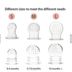 Fruit Feeder - BPA Free Silicone Pacifier