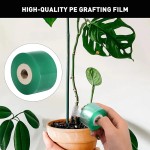 Grafting Tape - PE Self-adhesive Film