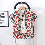 Boys Clothing Sets Manufacturer - OEM Summer T-shirt Pants Two Pieces Set