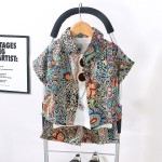 Boys Clothing Sets Manufacturer - OEM Summer T-shirt Pants Two Pieces Set