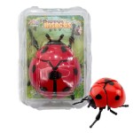 Wind-up Toy - Simulation Beetle Insect Classic