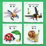 Insect Model - DIY Plastic Puzzle