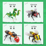Insect Model - DIY Plastic Puzzle