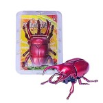 Wind-up Toy - Simulation Beetle Insect Classic