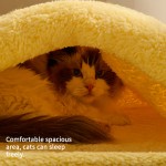 Cat Dog Bed Manufacturer - OEM Removable Crystal Velvet Cave