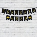 Party Banner Supplier - Wholesale Congrats Graduation Background Banner