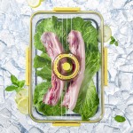 Pet Food Storage Container Manufacturer - OEM Airtight Fridge Freezer Bin