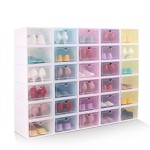 Shoe Storage Box Supplier - OEM Plastic Rack Organizer Case