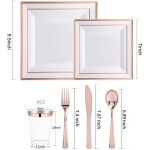 Plastic Tableware Supplier - OEM Party Disposable Tableware