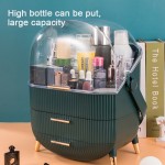 Cosmetic Storage Box Manufacturer - OEM Desktop Beauty Makeup Organizer Drawer