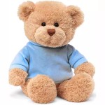 Teddy Bear Doll Supplier - OEM Cute Valentine's Day Gift Ragdoll Plush