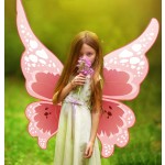 Fairy Wings - Glowing Light up