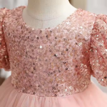 Party Dress - Puffy Sleeve