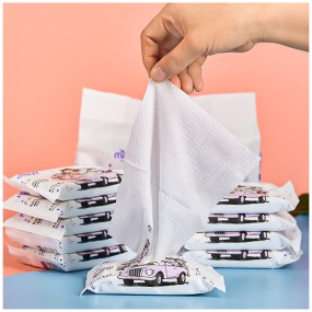 Portable Wipes Bag Supplier - OEM Cotton Small Bag for Baby Hand Cleaning