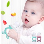 Teething Relief Toy Supplier - OEM BPA Free Frozen Set Baby Fruit Food Feeder Pacifier