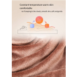 Blanket - Solid Color Flannel Velvet