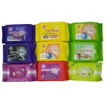 Mosquito Repellent Wipes Supplier - OEM ODM Friendly Natural Anti Mosquito Bites