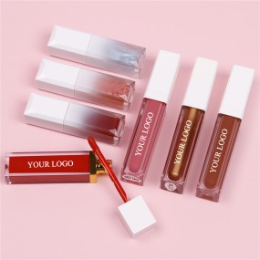 Private Label Cosmetics Multi-Color Long Lasting Liquid Lipstick Makeup Shimmer Moisturizing Lip Gloss